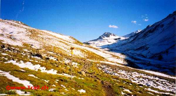 Sesvenna-Trail, Alp Sursaas 