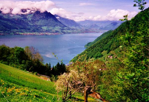 Oberhalb von Gersau / Vierwaldstättersee mit Beckenried und Stans im Hintergrund