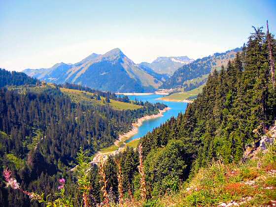 Lac de L'Hongrin hinten Rochers de Naye, dazwischen Col de Jaman - Col de Chaude