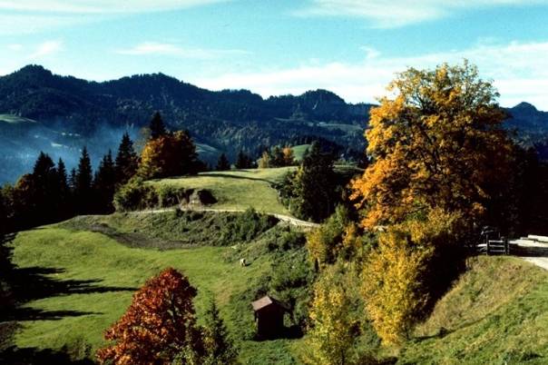 Napf - Weg von Gmeinalp nach der Waldung und Oberlehn (von links nach rechts) 