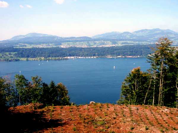 Buechberg Blick Richtung Zürichsee