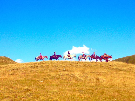 Es müssen nicht immer Waderer sein! Auf dem Durannapass ist eine Trekkinggruppe mit Pferden unterwegs.