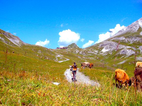 Biktour Schatzalp: Der Strelapass in Sicht