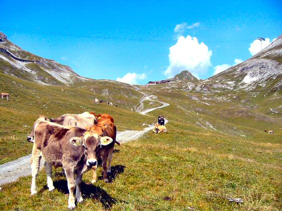 Aufstieg Schatzalp: Strelapass in Sicht