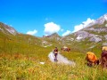 Thumbs/tn_strelapass-aufstieg.jpg